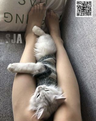 小团圆电视剧